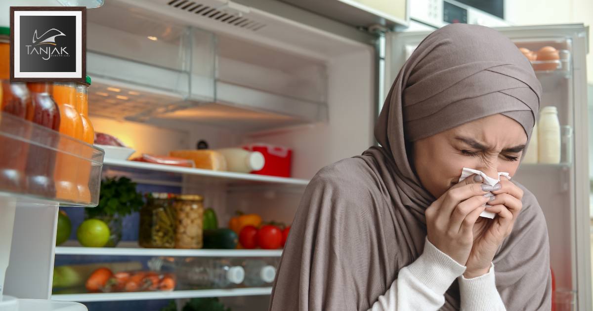 Hilangkan Bau dan Kelembapan dalam Peti Sejuk