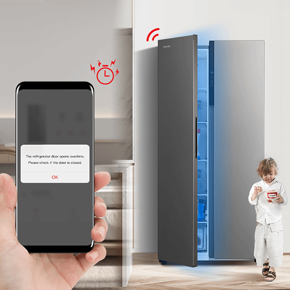 Open-Door Alarm - Toshiba Refrigerator 2 Door GR-RS600WI-PMY (37) 530L Side-by-Side