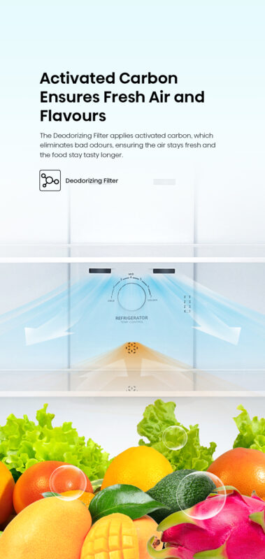 06 Deodorizing Filter - Hisense 2 Door Inverter Refrigerator 206L RT220N4ABN